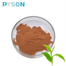 Green tea extract powder 98% tea polyphenols